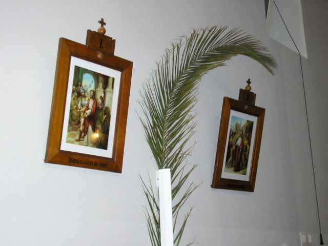 zudije (3)